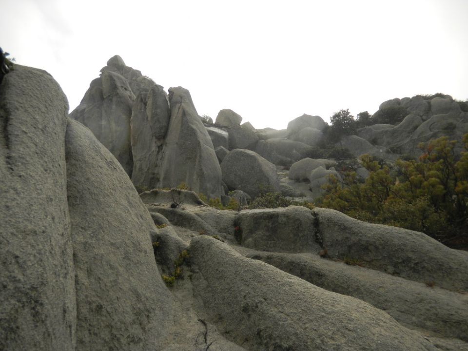 Rocky terrain with large boulders and some sparse vegetation under a bright sky