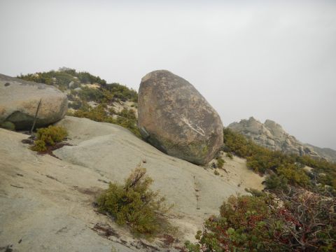 1997 Ford Ranger - A rocky hillside scene with large boulders and scattered green bushes under an overcast sky.