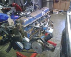 1982 Ford Bronco - This is the junkyard motor that I started with after pulling the blown 351w.
