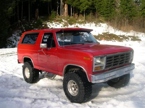 1982 Ford Bronco photo