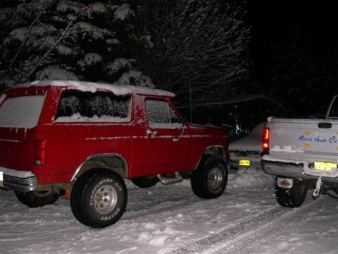 1982 Ford Bronco photo