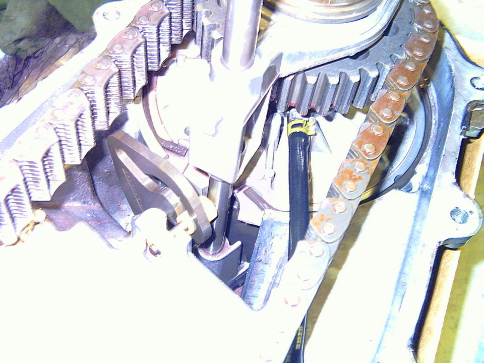 Engine timing chain and gears