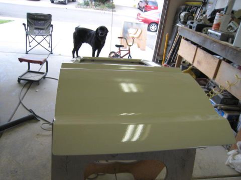 1976 Ford F-250 - A car door is prepped for painting in a garage, with a dog and outdoor scene visible.