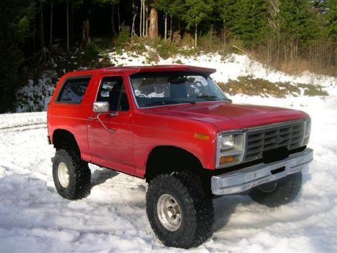 1982 Ford Bronco photo
