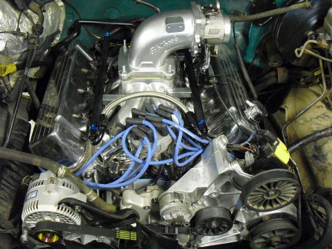 1996 Ford Bronco - Customized engine bay aftermarket performance components and bright blue spark plug wires.