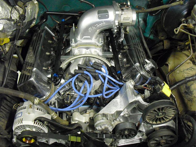 Engine bay with polished Edelbrock intake, blue plug wires, chrome alternator and braided fuel lines.