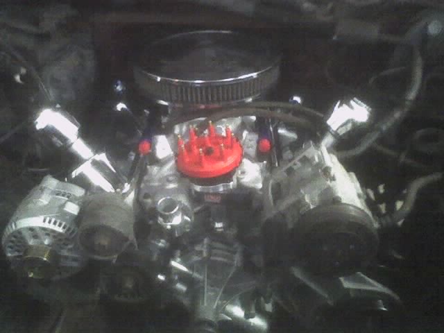 V8 engine with chrome air cleaner, red distributor cap, and polished alternator