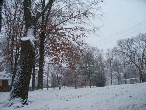 2001 Isuzu Vehicross - A winter scene with snow falling on trees and the ground, a house peeking through on the left.