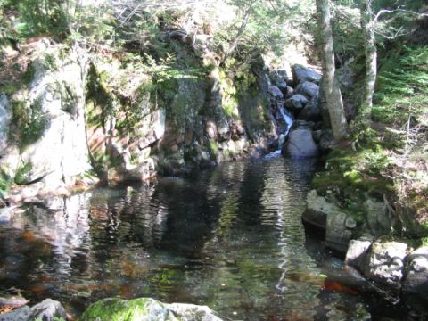 1986 Ford Bronco - A natural waterfall flows into a pool in a forest setting with rocky banks.