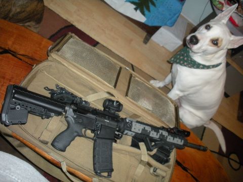 1996 Ford Bronco - A dog sits attentively next to a rifle case containing a firearm.