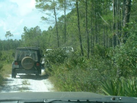 1995 Ford Bronco - Two vehicles travel down a sandy path through a wooded area.