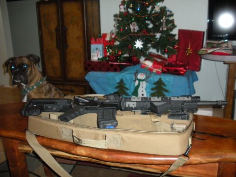 1996 Ford Bronco - A boxer dog sits near two rifles on a case, with a Christmas tree and presents in the background.