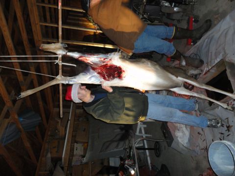 2006 Dodge 2500 - Deer carcass hanging in a garage, with two people nearby. One person is wearing a Santa hat.