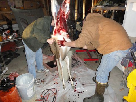 2006 Dodge 2500 - Two men are shown in a garage, actively butchering a deer carcass that is hanging from a hoist.