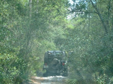 1995 Ford Bronco - A dark Jeep Wrangler navigates a wooded trail, kicking up water as it goes.