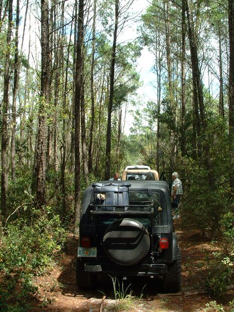 1995 Ford Bronco - Multiple Jeeps drive down a wooded trail, with the rear of a black Jeep Wrangler in the foreground.