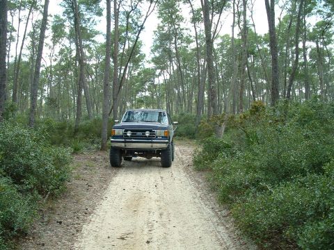 1995 Ford Bronco - Ford Bronco navigates a dirt path surrounded by trees.
