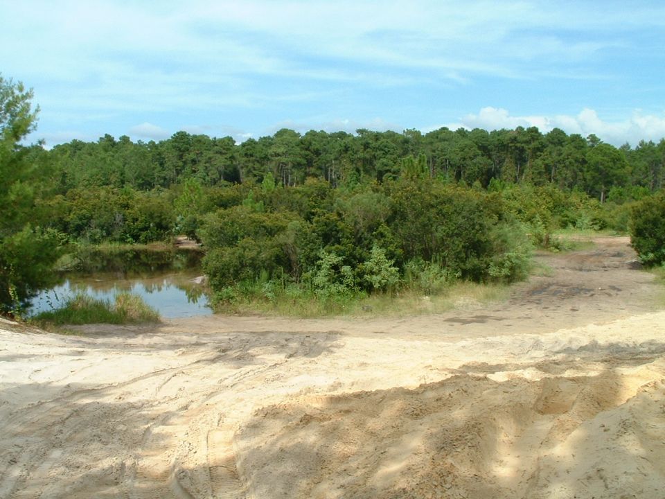 Dirt path leading to a small body of water surrounded by trees under a cloudy sky. Some sand dunes in the foreground