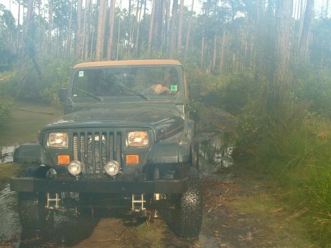 1995 Ford Bronco - stump trail