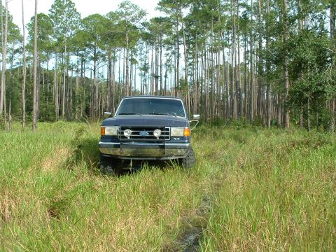 1995 Ford Bronco - stump trail, so overgrown you cant see anything.