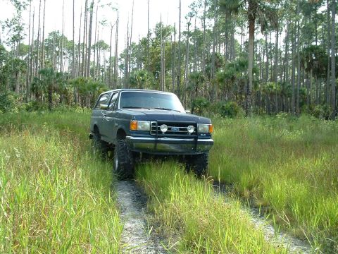 1995 Ford Bronco - This 1995 Ford Bronco is captured driving through a grassy, wooded area on a dirt path.