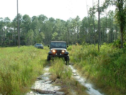 1995 Ford Bronco - Two off-road vehicles navigate a muddy trail surrounded by dense vegetation and tall trees.
