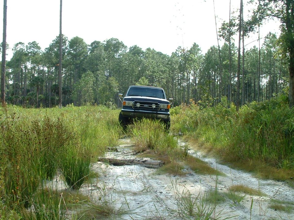 Front view of a dark blue Ford F-Series truck on a dirt path through tall grass and trees