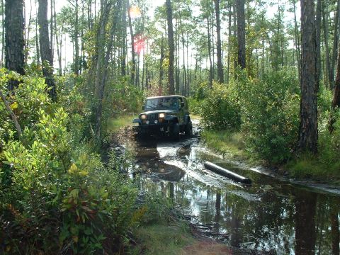 1995 Ford Bronco - A Jeep Wrangler navigates a water-filled path surrounded by dense trees.