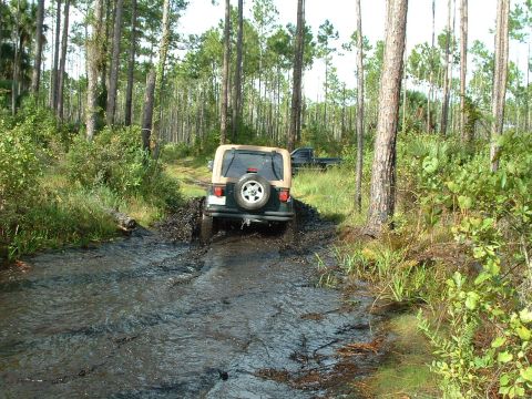 1995 Ford Bronco - Off-roading through a muddy path in a wooded area.