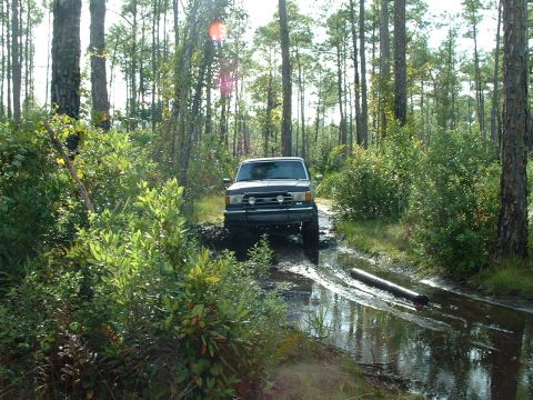 1995 Ford Bronco - A vehicle navigates a muddy path surrounded by trees, with water and logs in the foreground.