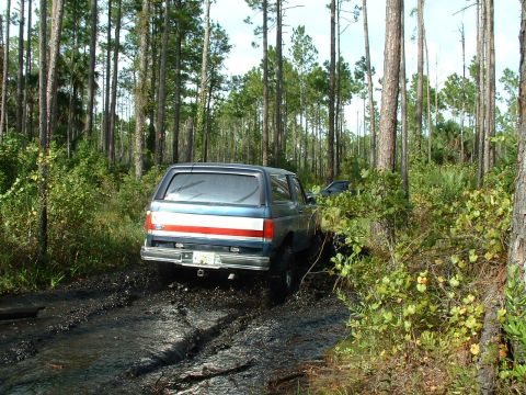 1995 Ford Bronco - A blue and red Ford Bronco navigates a muddy trail surrounded by tall trees.