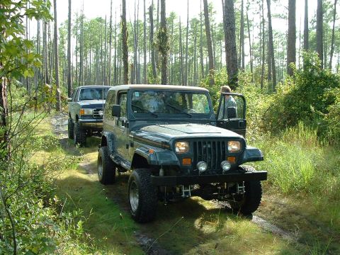 1995 Ford Bronco - Two off-road vehicles drive down a dirt path surrounded by tall pine trees.