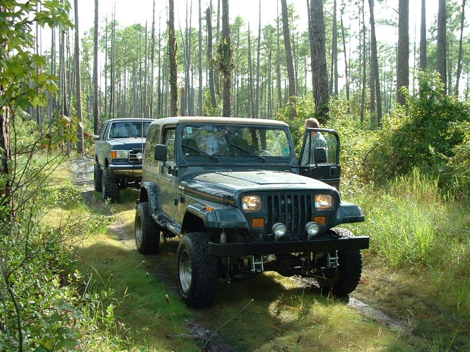 Green Jeep Wrangler and a Ford Bronco on a wooded trail