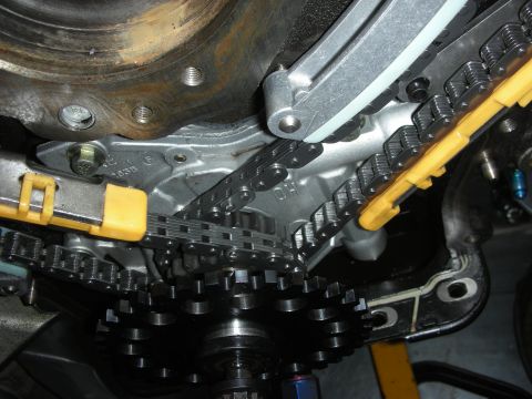 1992 Ford Crown Victoria - Engine timing chain and gears with yellow tensioner clips visible.
