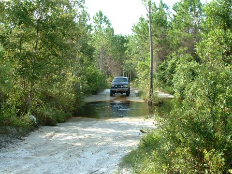1995 Ford Bronco - A dark SUV navigates a water crossing on a sandy, tree-lined path.