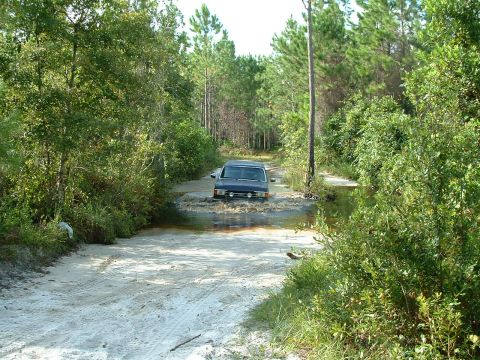 1995 Ford Bronco - A dark blue SUV navigates a water crossing on a sandy dirt road surrounded by trees.