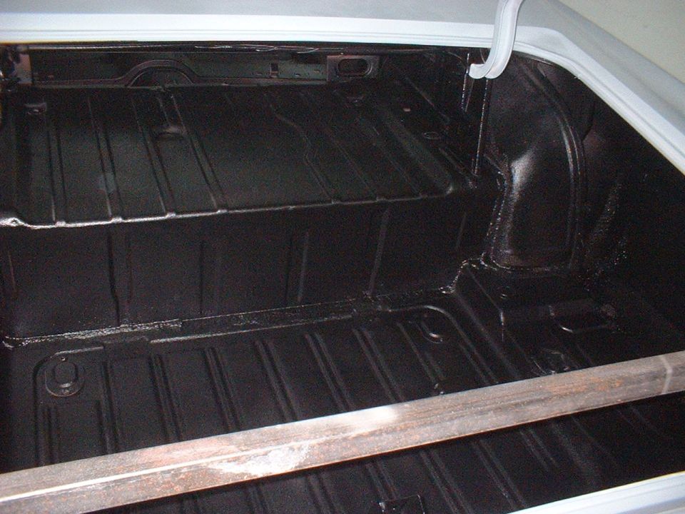 Lizard Skin inside the trunk area.