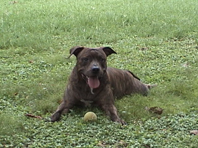 Our Pono. Mahalo and Aloha boy.