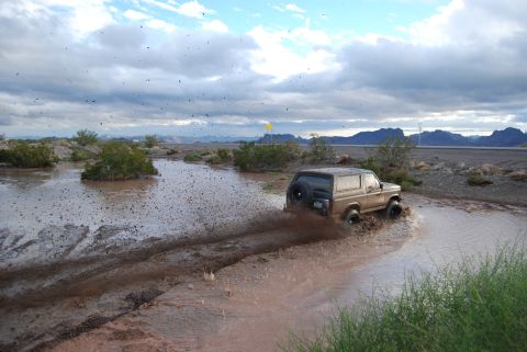 1982 Ford Bronco - A tan 1982 Ford Bronco navigates a muddy off-road course, sending water and mud flying.