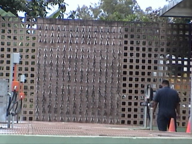 2 more walls of jaws like this one. Just a fraction of what was caught in recent years. Counted 600 or so just here. Way more at others houses.