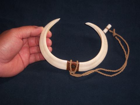 1991 Ford Bronco - This beautiful Boar Tusk necklace was made for us by a friend of DeLimas. The tusks came from a boar that fatally wounded one of our best d…