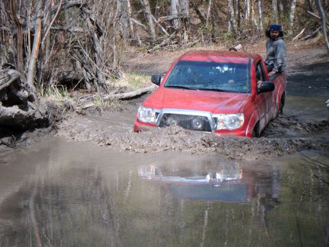 2009 Toyota Tacoma photo