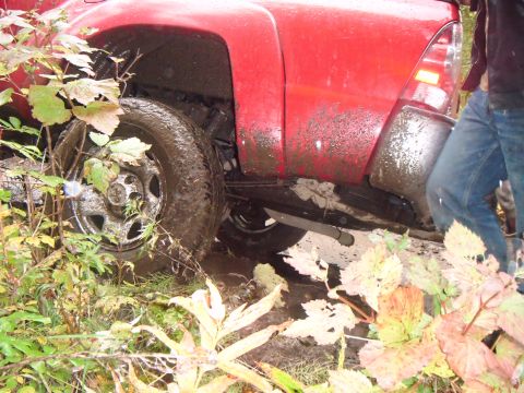2009 Toyota Tacoma photo
