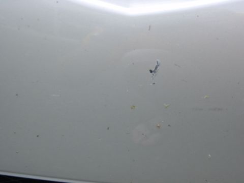 2003 Mazda 6 - Close-up of a white car's body panel showing damage and dirt.