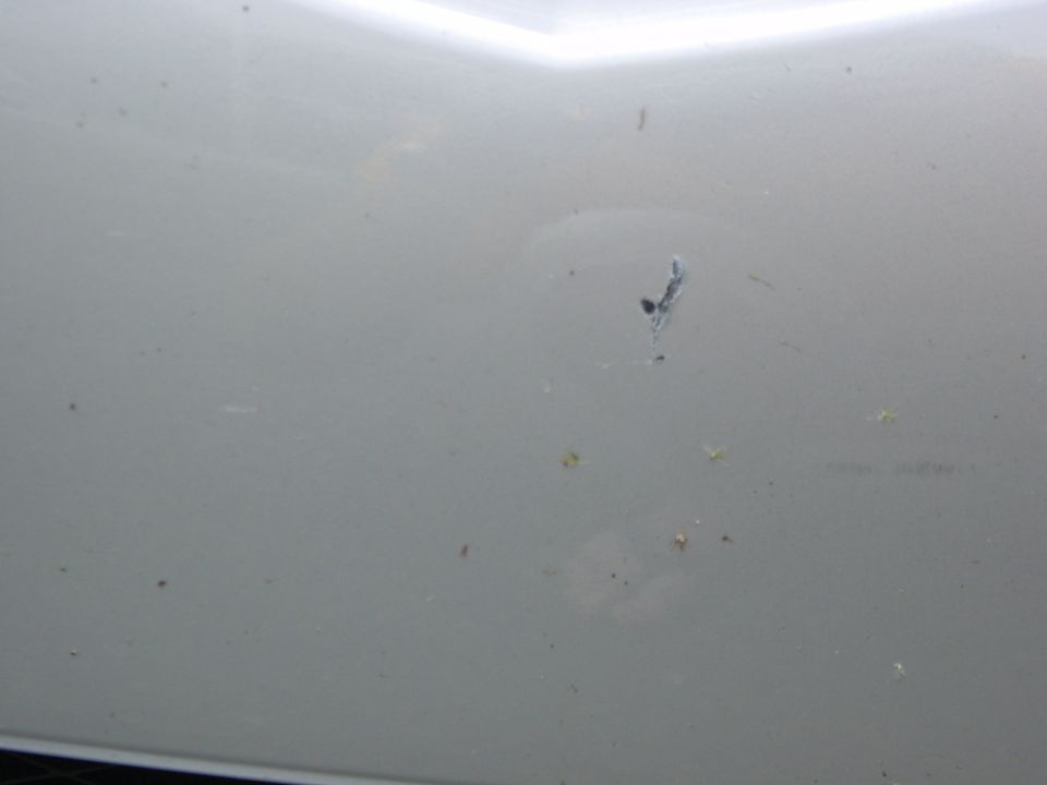 Close-up of paint chip damage on a silver car body panel