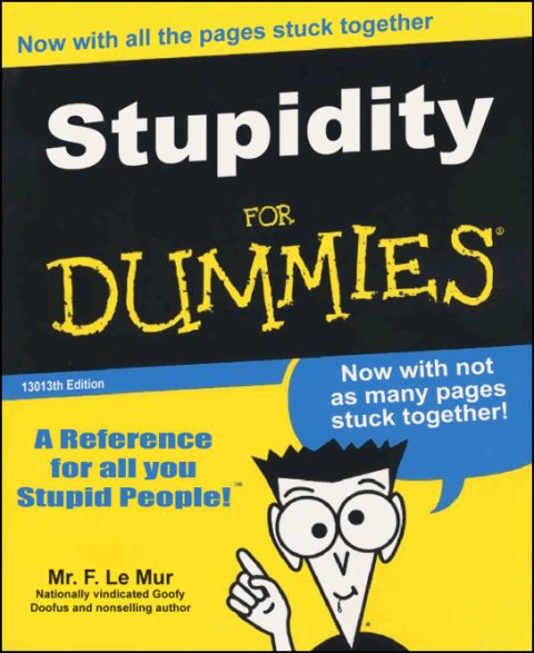 1995 Ford Bronco - The cover of the book "Stupidity For Dummies" is shown with a cartoon character.