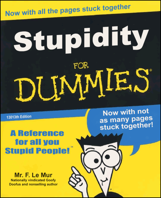 Book cover for "Stupidity For Dummies" with cartoon character