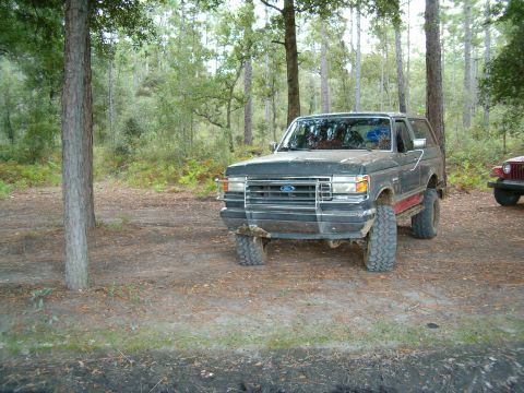 1991 Ford Bronco - A dark gray Ford Bronco with a red stripe and lifted suspension sits in a wooded area next to another vehicle.