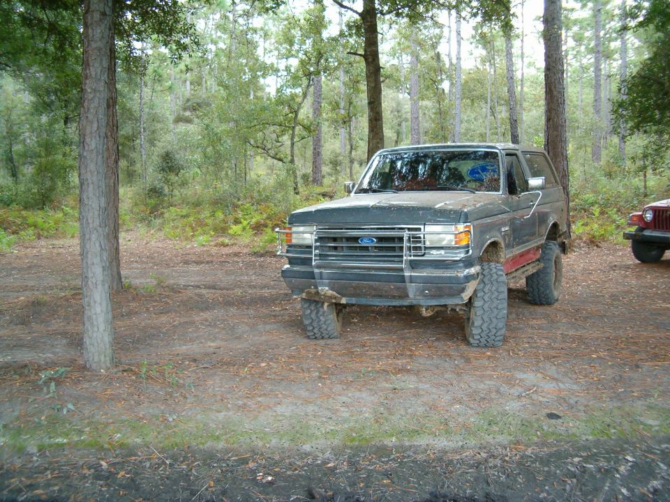 Dark gray Ford Bronco with red stripe, lifted suspension, and large tires parked in a wooded area