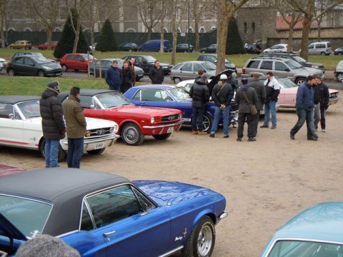 1991 Ford LTD Crown Victoria - A gathering of classic Ford Mustangs and other vehicles in an outdoor lot.